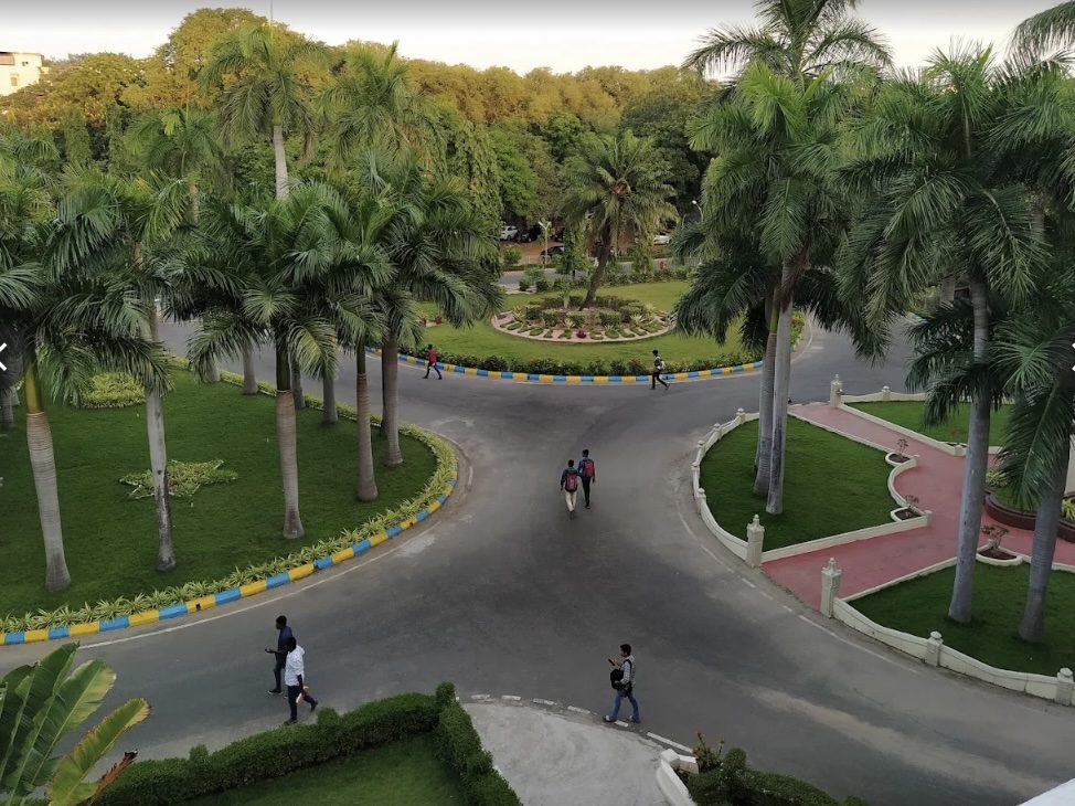 Tree-lined avenue on the Loyola College campus, Sterling Road, Nungambakkam
